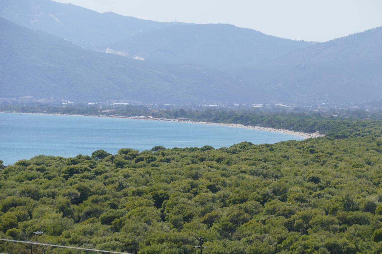 Casa vacanze Esperides